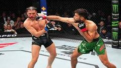 Rodriguez Pitbull